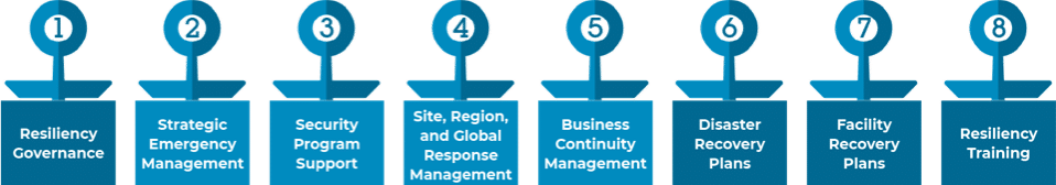 Risk Resiliency Practice Areas